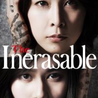 The Inerasable