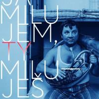 Ja milujem,  ty miluješ