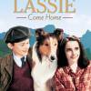 Lassie se vrací