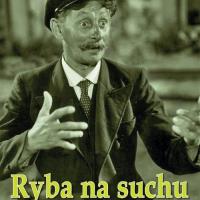 Ryba na suchu