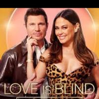 Love Is Blind: The Reunion