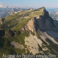 Život v Mrtvých horách