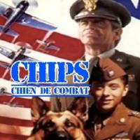 Chips, the War Dog
