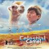 Celestial Camel