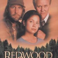 Redwood Curtain