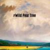 The Wild Pear Tree