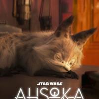 Ahsoka: Sabine's Loth-Cat