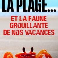 Der Strand: Tierisches aus dem Ferienparadies