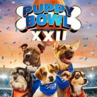 Puppy Bowl XXII