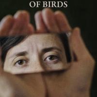 Metamorfóza ptáků