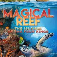 Magický útes: Ostrov čtyř králů