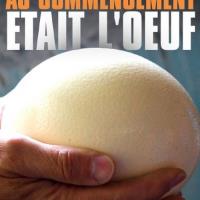 Vejce - počátek života