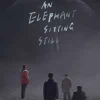 An Elephant Sitting Still