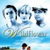 Wildflower