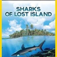Žraloci ztraceného ostrova