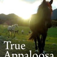 True Appaloosa