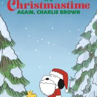 Už jsou tu zase Vánoce, Charlie Browne
