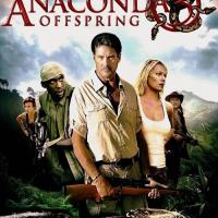 Děti Anakondy