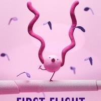 First Flight