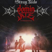 Stray Kids: The dominATE Experience