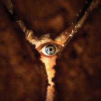 Silent Hill: Noční můry