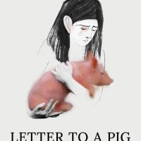 Letter to a Pig