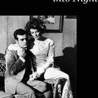 Cesta dlouhého dne do noci