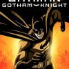 Batman - Gothamský rytíř