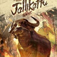 Jallikattu