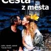 Cesta z města