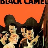 The Black Camel