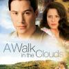 Procházka v oblacích