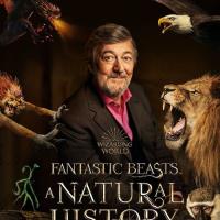 Fantastická zvířata: Přírodní historie