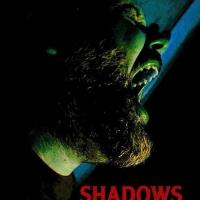 Shadows of Willow Cabin