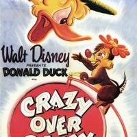 Crazy Over Daisy