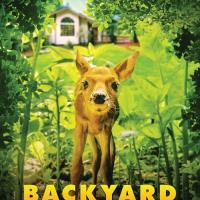 Backyard Wilderness