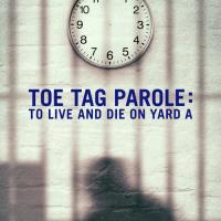 Bez naděje na podmínku