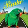 Papoušek Paulie