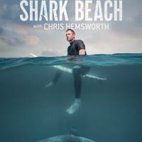 Chris Hemsworth na pláži žraloků