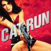 Cat Run