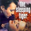Spící tygr
