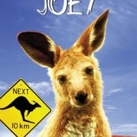 Klokan Joey