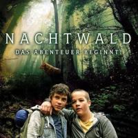 Nachtwald
