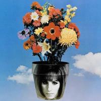 Za jasného dne uvidíš navždy