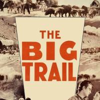 The Big Trail