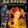 Bibi Blocksberg: Tajemství modrých sov