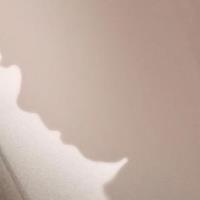 Nick Cave's Veiled World