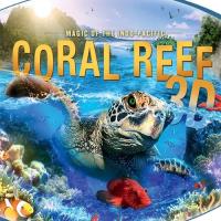 Korallenriff: Magie des Indopazifiks