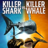 Kosatka versus žralok