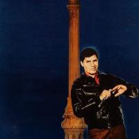 Delikátní delikvent